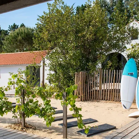 Surf *