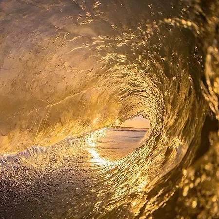 Surf